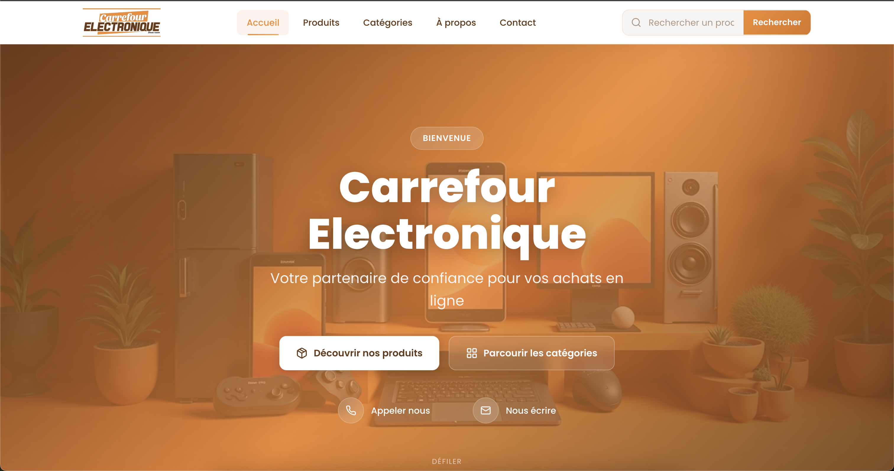 Carrefour Electronique